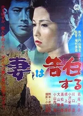 妻之告白:隐藏的秘密与不渝的爱,情感冲击与人性拷问