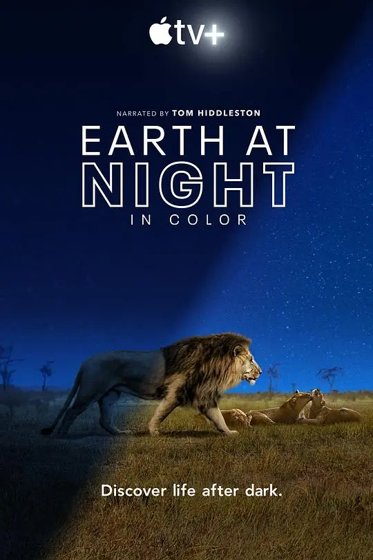 《夜色中的地球第一季》:颠覆认知!夜晚动物世界的精彩瞬间,比白天更刺激!