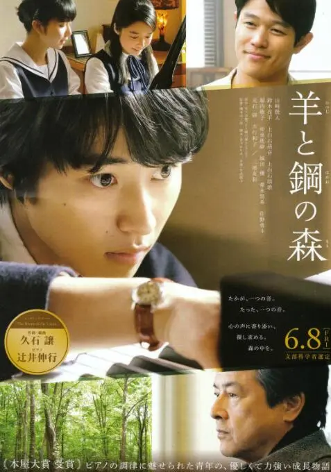 音乐与心灵的治愈之旅：《羊与钢的森林》探索情感深度和寻根本能